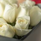 Букет из 51 белой розы 100 см