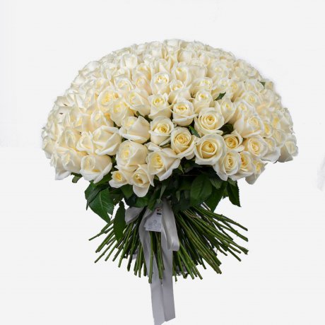 Букет из 101 белой розы 60 см