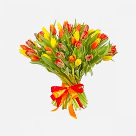Букет из разноцветных тюльпанов (51 шт.)