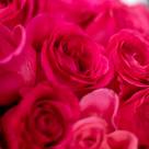 Букет из 25 розовых роз 80 см