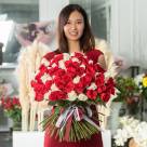 Букет из 201 красно-белой голландской розы 60 см