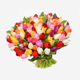 Букет из 151 разноцветного тюльпана