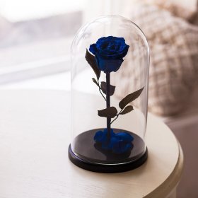 Синяя роза в колбе "Belle" Small