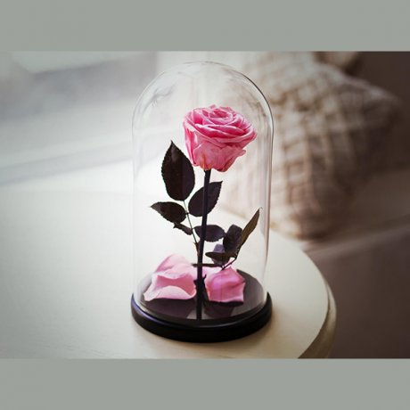 Розовая роза в колбе "Belle" Small