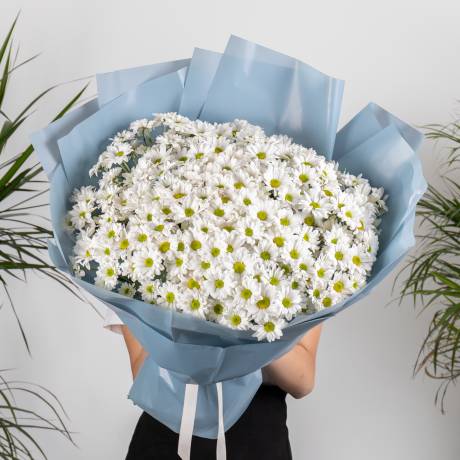 Букет из 51 белой хризантемы "Цветочное поле"
