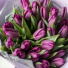 Букет из фиолетовых тюльпанов "Purple" S