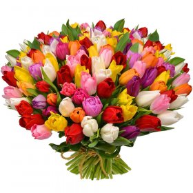 Букет из 301 разноцветного тюльпана