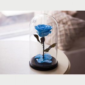 Голубая роза в колбе "Belle" Small