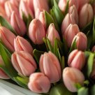 Букет из нежно-розовых тюльпанов "Жания" S