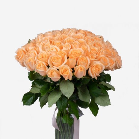 Букет из 101 голландской кремовой розы 60 см