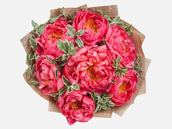 Букет из кораловых пионов "Coral" Букет из кораловых пионов "Coral"