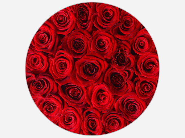 Коробка с розами "Red Paris" Коробка с розами "Red Paris"