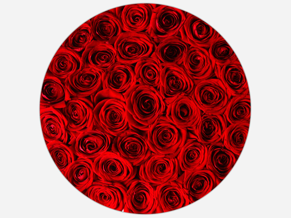 Коробка с розами "Red Paris Big" Коробка с розами "Red Paris Big"
