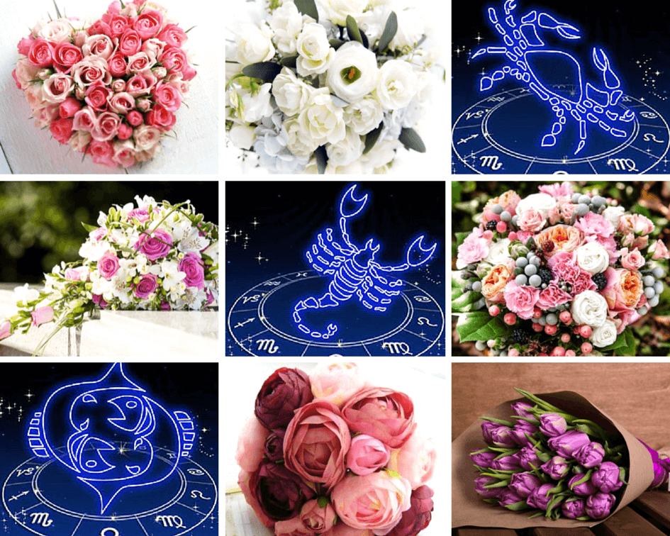 cvety-dlya-vodnyh-znakov-zodiaka-2.png cvety-dlya-vodnyh-znakov-zodiaka-2.png