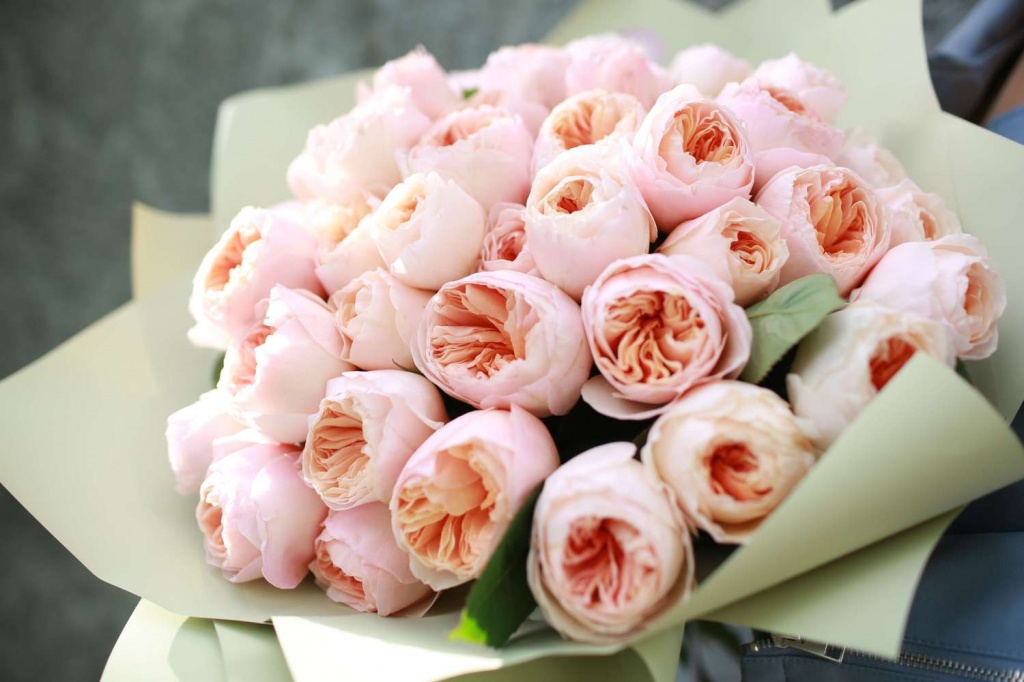 roza-dzhuletta-_10-samyh-dorogih-cvetov-v-mire.JPG